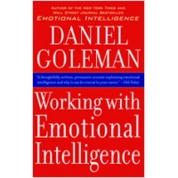 Working with Emotional Intelligence