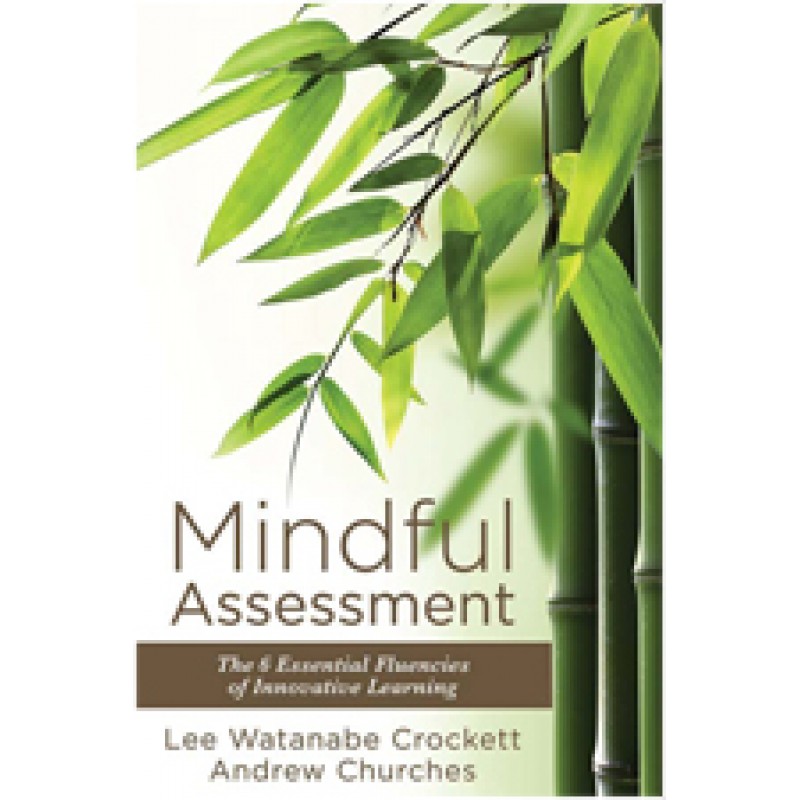 Mindful Assessment: The 6 Essential Fluencies of Innovative Learning, Aug/2016