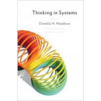 Thinking in Systems: A Primer