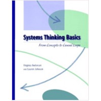 Systems Thinking Basics: From Concepts to Causal Loops